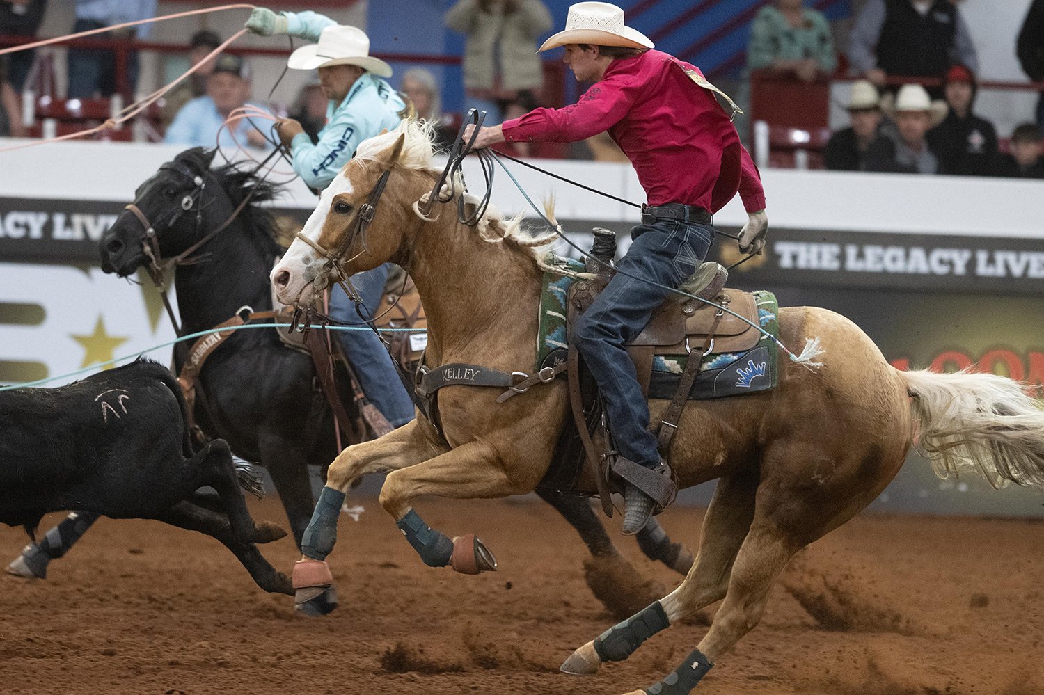 Charlie 1 Horse All-Girl Breakaway with 18 & Under Incentive